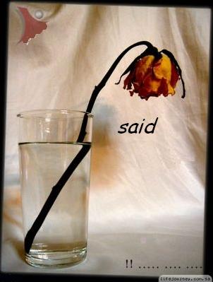 ������� �� �����