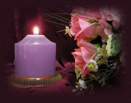 ������ .......