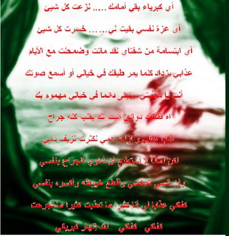 ����� �������